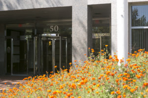 AAFCPAs Office - Westborough Entrance