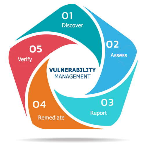 Vulnerability Management (VMasS) Process: Discover, Assess, Report, Remediate, Verify