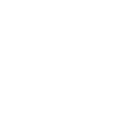 Plane Landing Icon