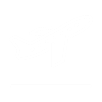 Plane Taking Off Icon