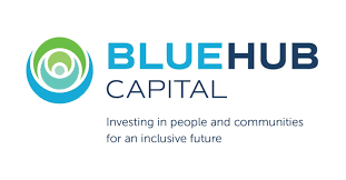 BlueHub Capital Logo