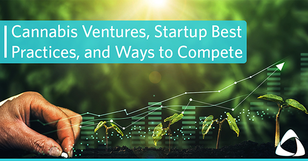 Cannabis Ventures and Startup Best Practices