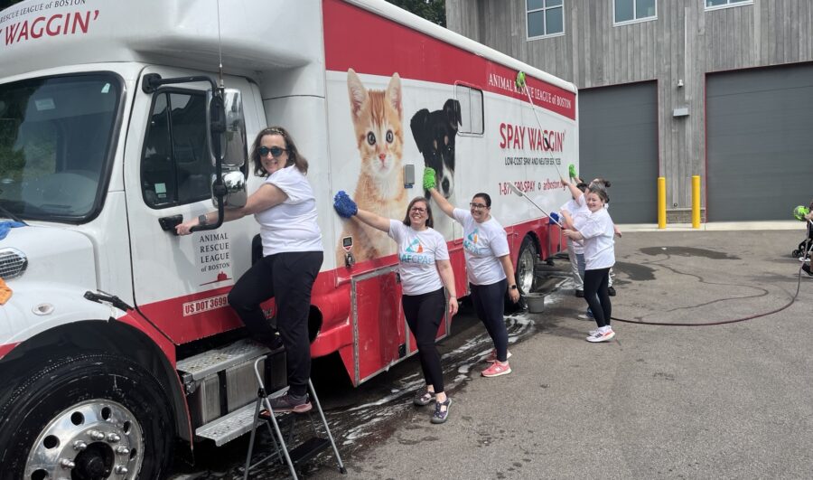 AAFCPAs @ Animal Rescue League of Boston (2)