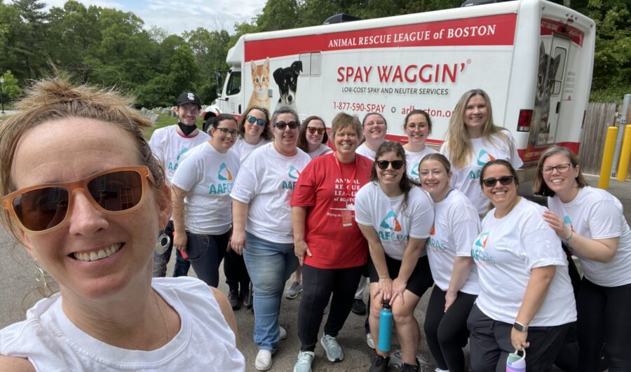 AAFCPAs @ Animal Rescue League of Boston (4)