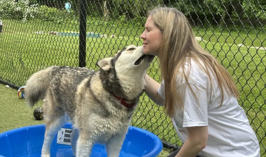 AAFCPAs @ Animal Rescue League of Boston (1)