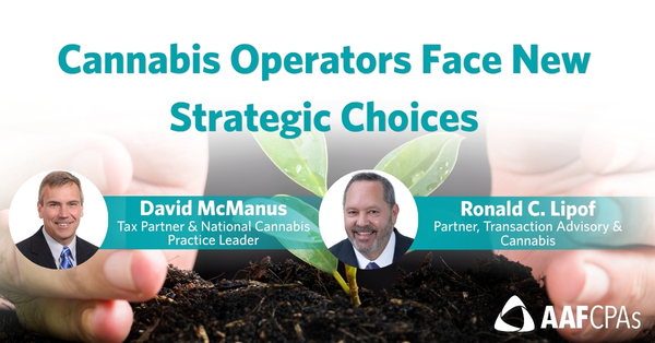 Cannabis Operators Face New Strategic Choices