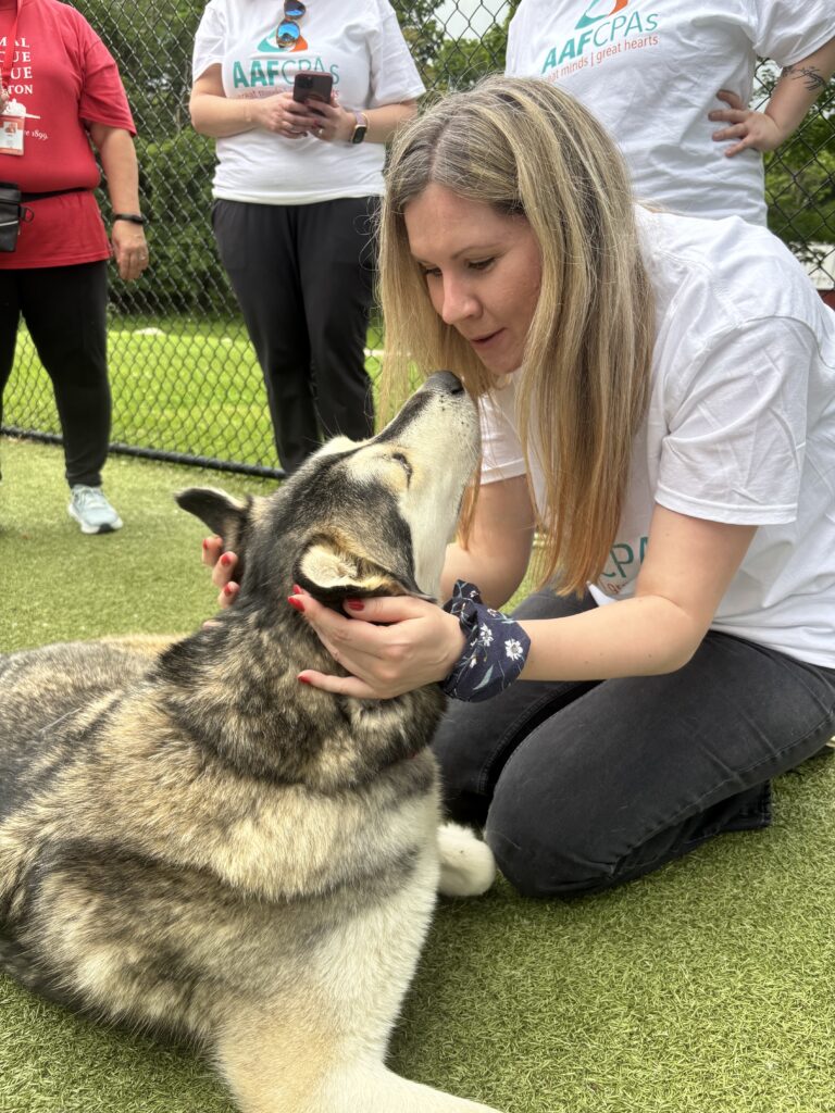 Team Petting Dog