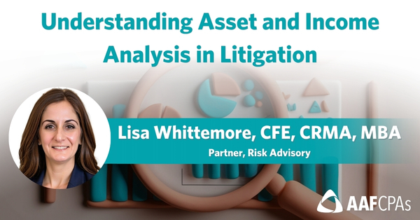 Understanding Asset and Income Analysis in Litigation
